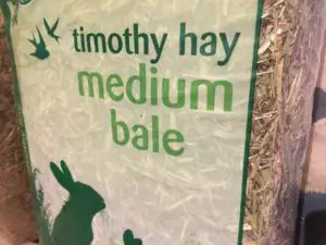 Bale of Timothy hay