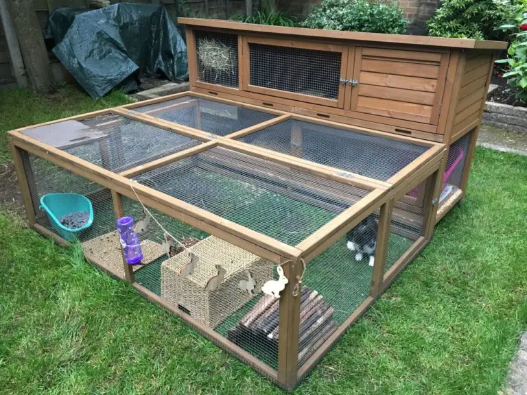 Large Coach House Rabbit Hutch (in-depth user review)