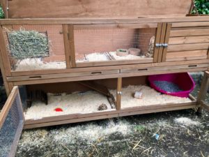 Large Coach House rabbit hutch
