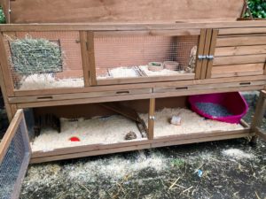 the manor 6ft rabbit hutch