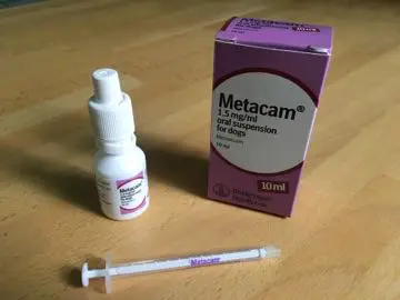 Metacam painkiller medication