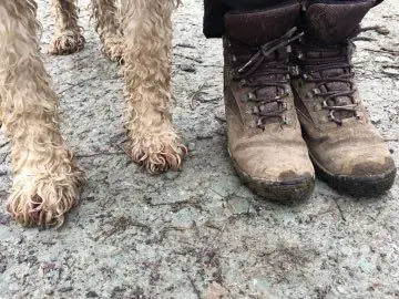 Muddy paws and boots