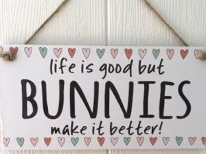 Life is good but bunnies make it better sign