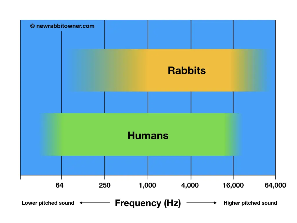 Rabbit hearing range