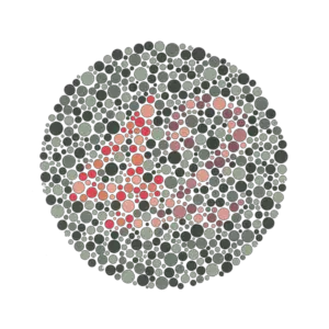 Ishihara plate 23