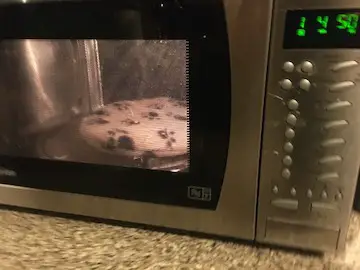 Snugglesafe heatpad in microwave