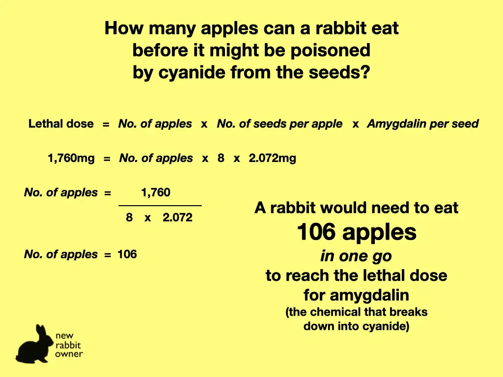 Maths of how many apples would be needed to be dangerous to a rabbit