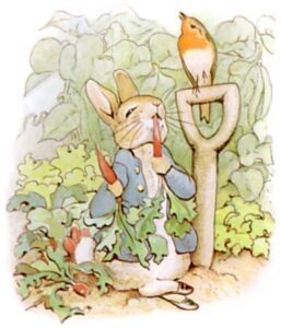 Peter Rabbit eating radishes