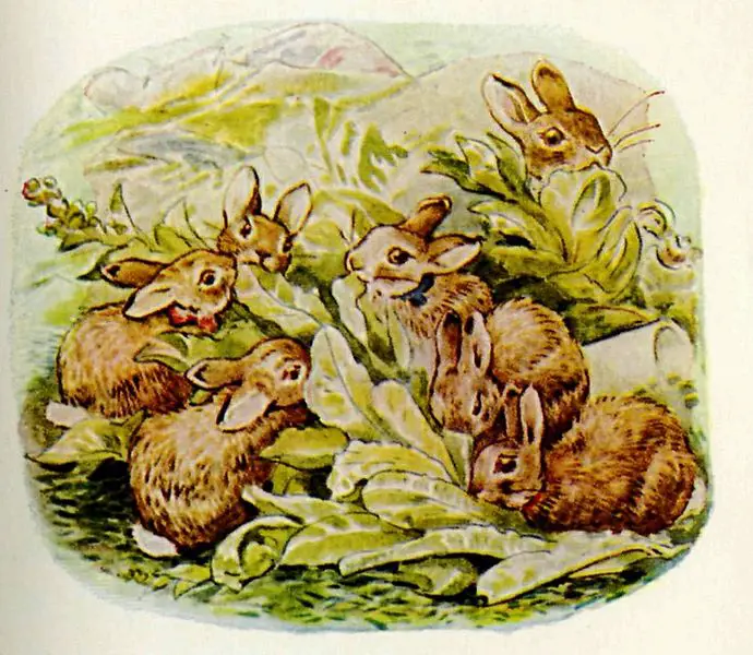 Illustration of flopsy bunnies eating lettuce leaves.
