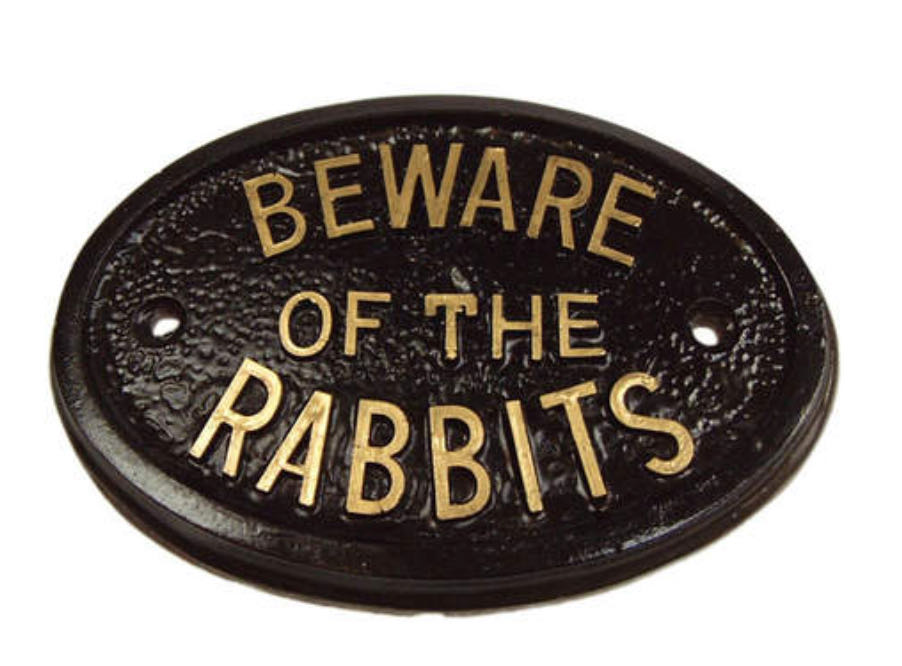 10 of the best rabbit toys 2023 (our bunnies loved them all!)